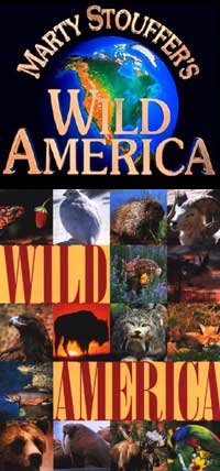 wild_america_s.jpg