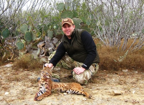 Texas Bobcat-Sized.JPG