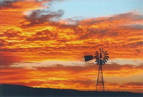 TX Panhandle pronghorn hunt.JPG