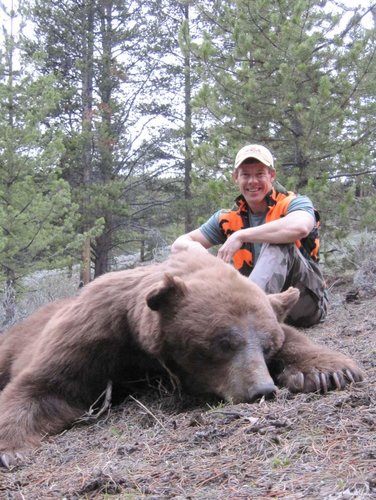 2011bear3.jpg