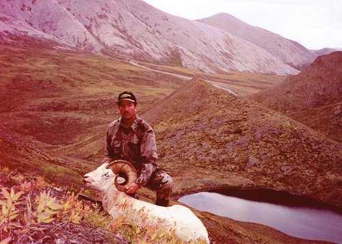 Dall Sheep 2001.jpg