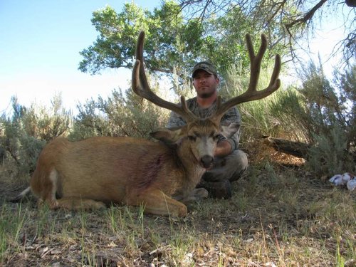 muley17.jpg