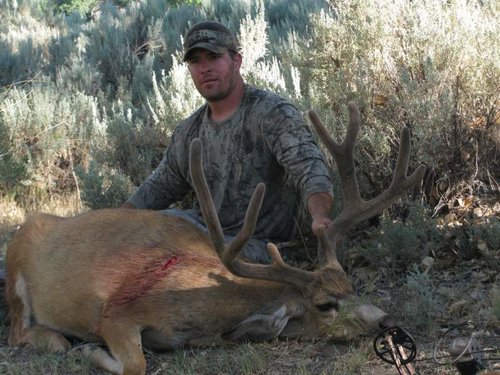 muley4.jpg