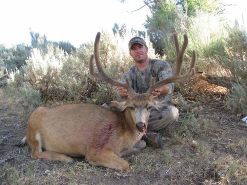 muley11.jpg