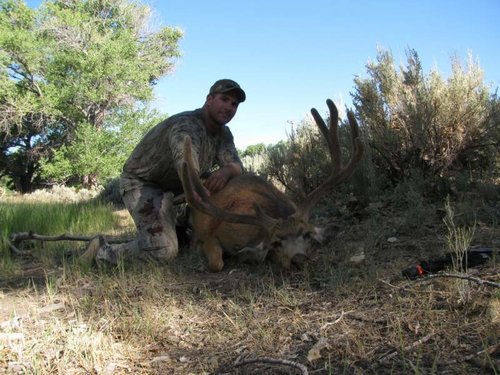 muley20.jpg