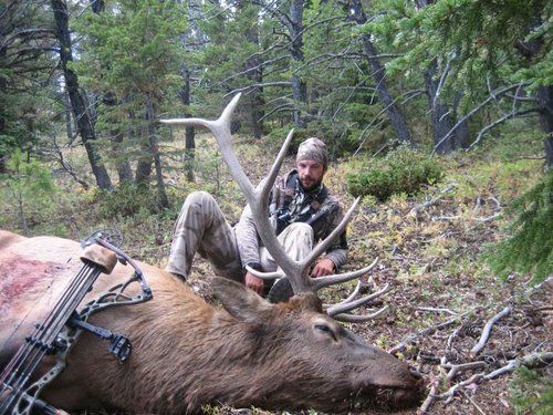 IMG_elk02.jpg