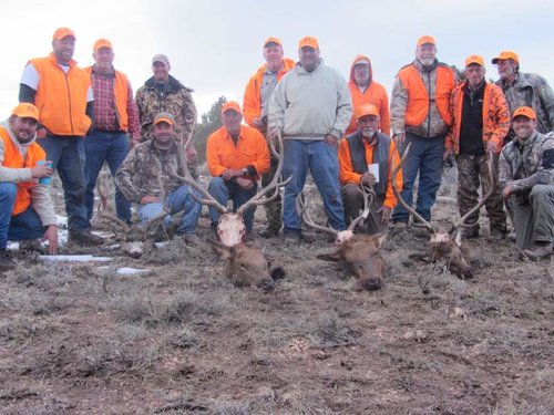 colorado deer hunt 2011 026.jpg