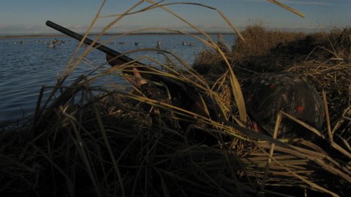 Hunter Duck Hunting 001 (800x449).jpg