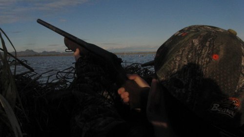 Hunter Duck Hunting 002 (800x449).jpg