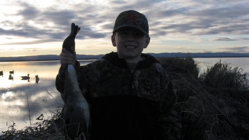 Hunter Duck Hunting 003 (800x449).jpg