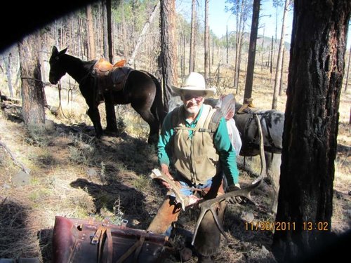 Arizona Elk 2011 035.jpg