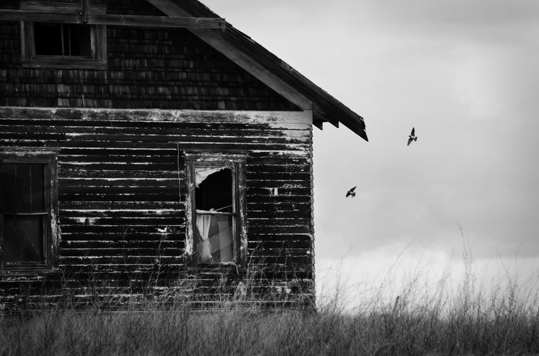 House and swallows 2mp.jpg