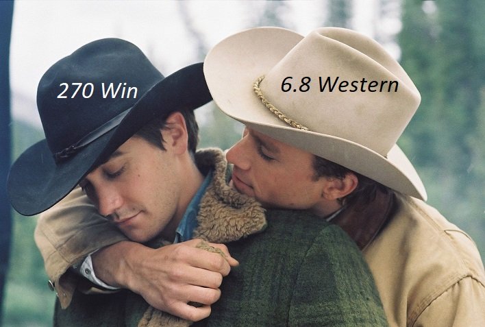 brokeback.jpg