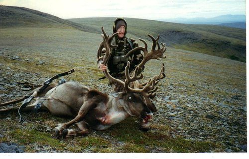 Caribou 96.jpg