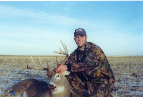 whitetail1.jpg