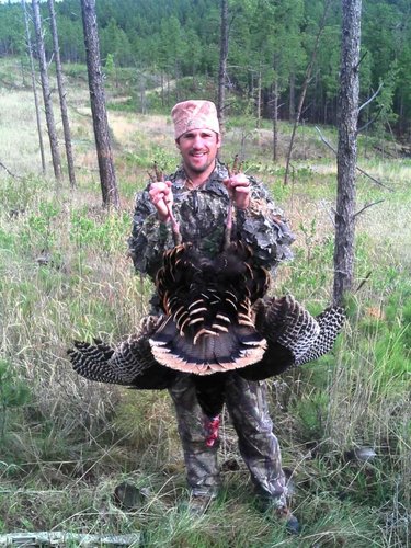 Black Hills Turkey 012.jpg