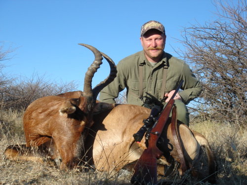 D9 Cow Red Hartebeest.JPG