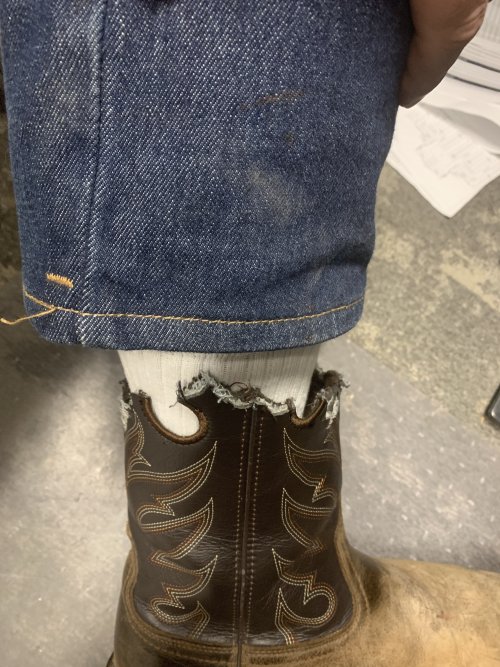 Chewed Boots.jpg