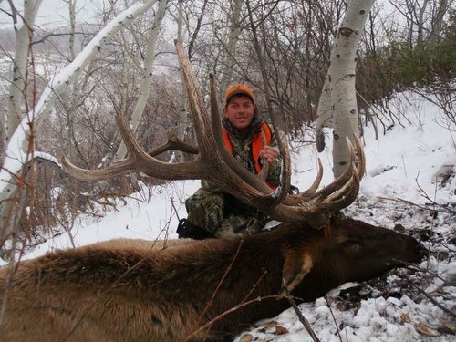 IdahoElk2012-13.jpg