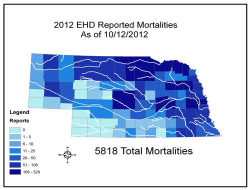 EHD%20MortLRG.jpg