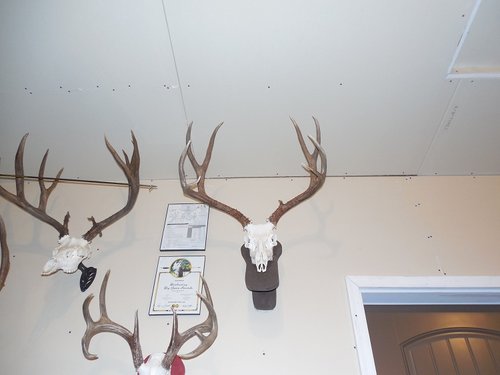 2012 Rifle Muley (2).JPG