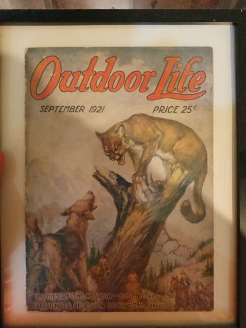 Vintage Hunting Magazines for sale