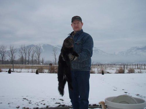 Trapping season 2010 002.jpg