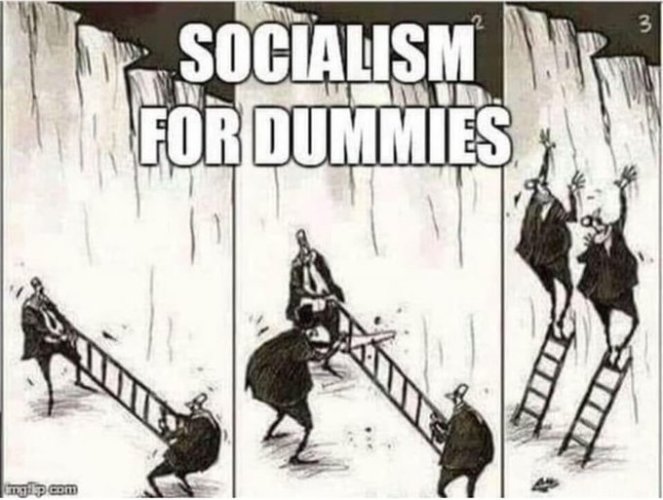 socialism for dummies - Copy.jpg