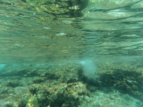 reef at Lighthouse 3.jpg