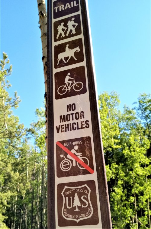 no ebikes sign.jpg