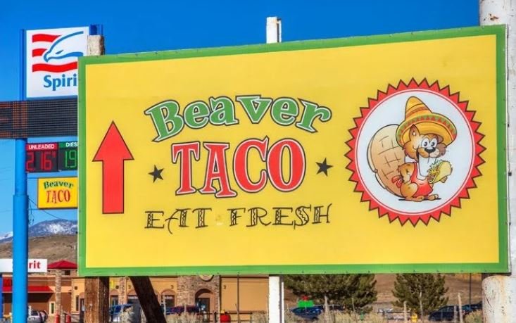 Beaver Taco.JPG