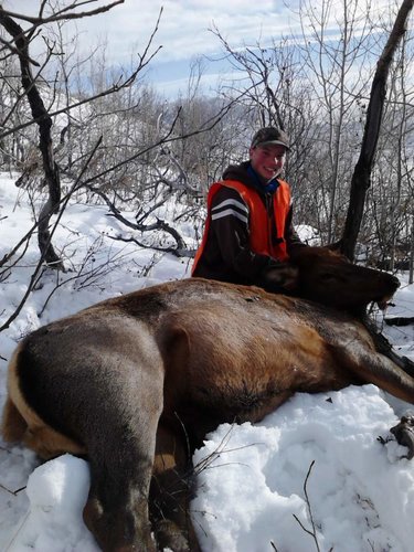 '14 elk7.jpg