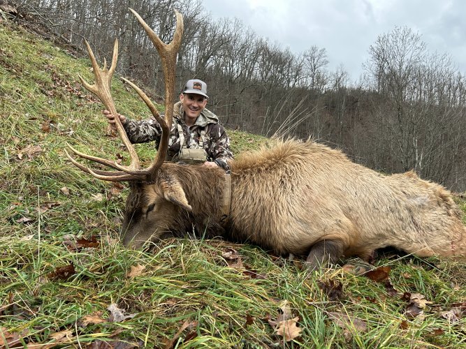 Kentucky Elk Draw 2024 Hunt Talk