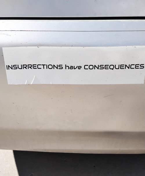 insurrections bumper sticker.jpg