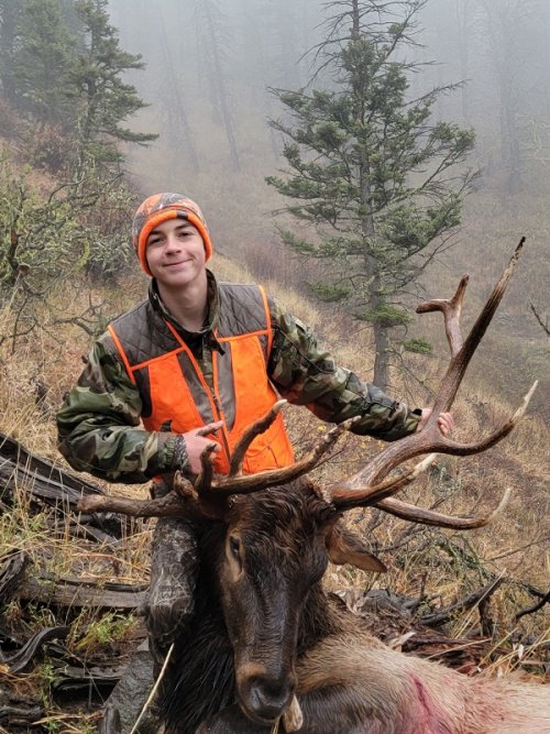 Caden's gnarly antlered elk.jpeg