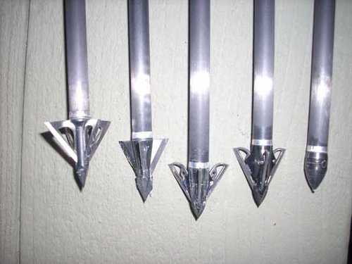 broadheads.jpg