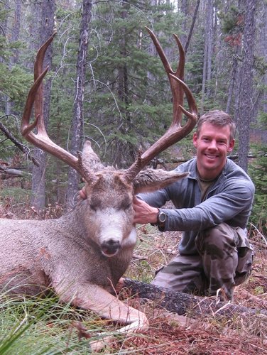 2007 muledeer.jpg