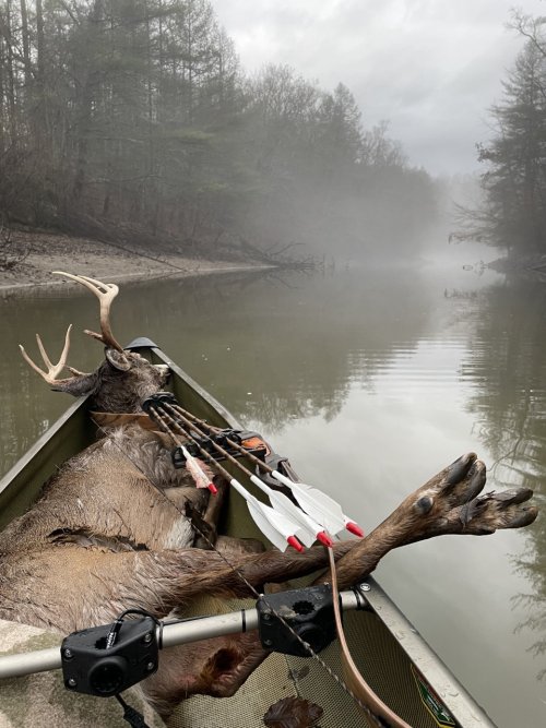 pound river buck 2.jpg