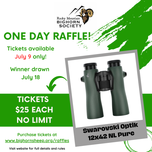 One Day Raffle.png