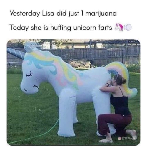 unicorn.jpg