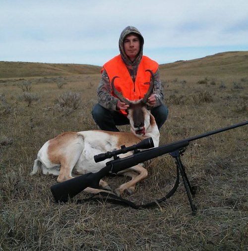 Pronghorn.jpg