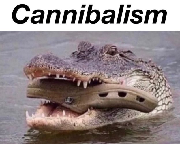 canabil.jpg