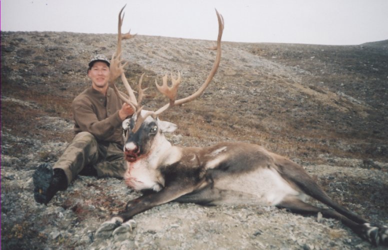 Buschy AK Caribou 1.jpg