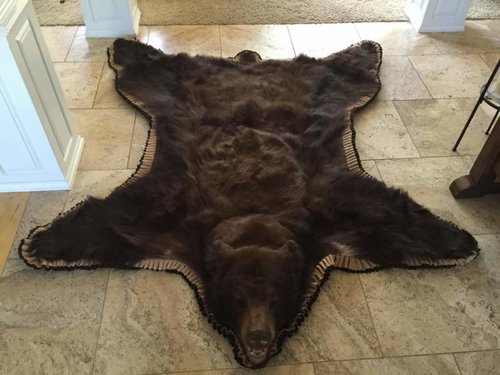 2014 Bear Rug 1.jpg