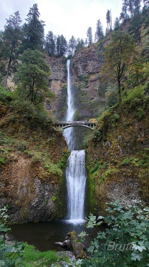 September 2024  Multnomah Falls cellphone 1a-.jpg