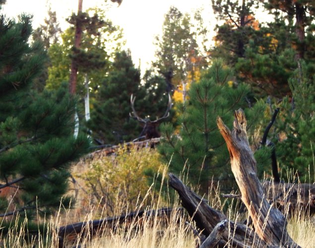 bull marks creek distant 9.14.24.JPG