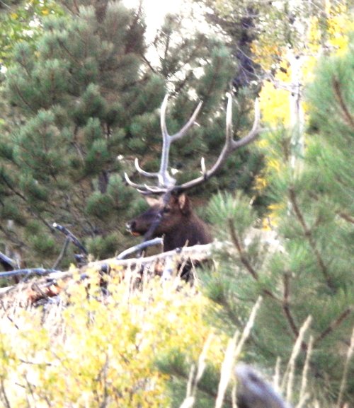 Bull marks creek 9.14.24.JPG