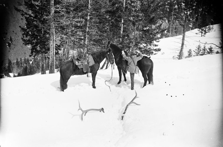 Game Warden with shed antlers 1902.jpg