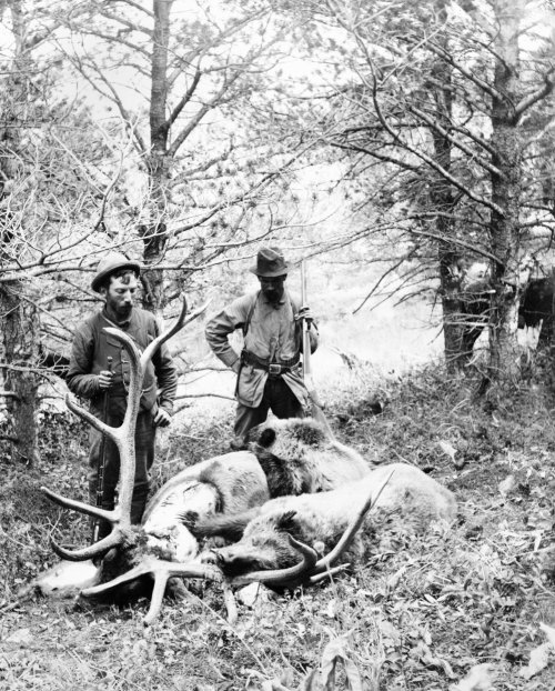 Hunters with remains of elk and bears.jpg