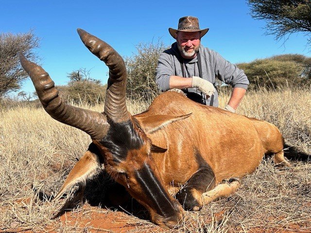 red hartebeest.jpg